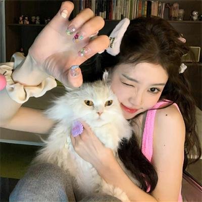 暗杀女仆冥土小姐